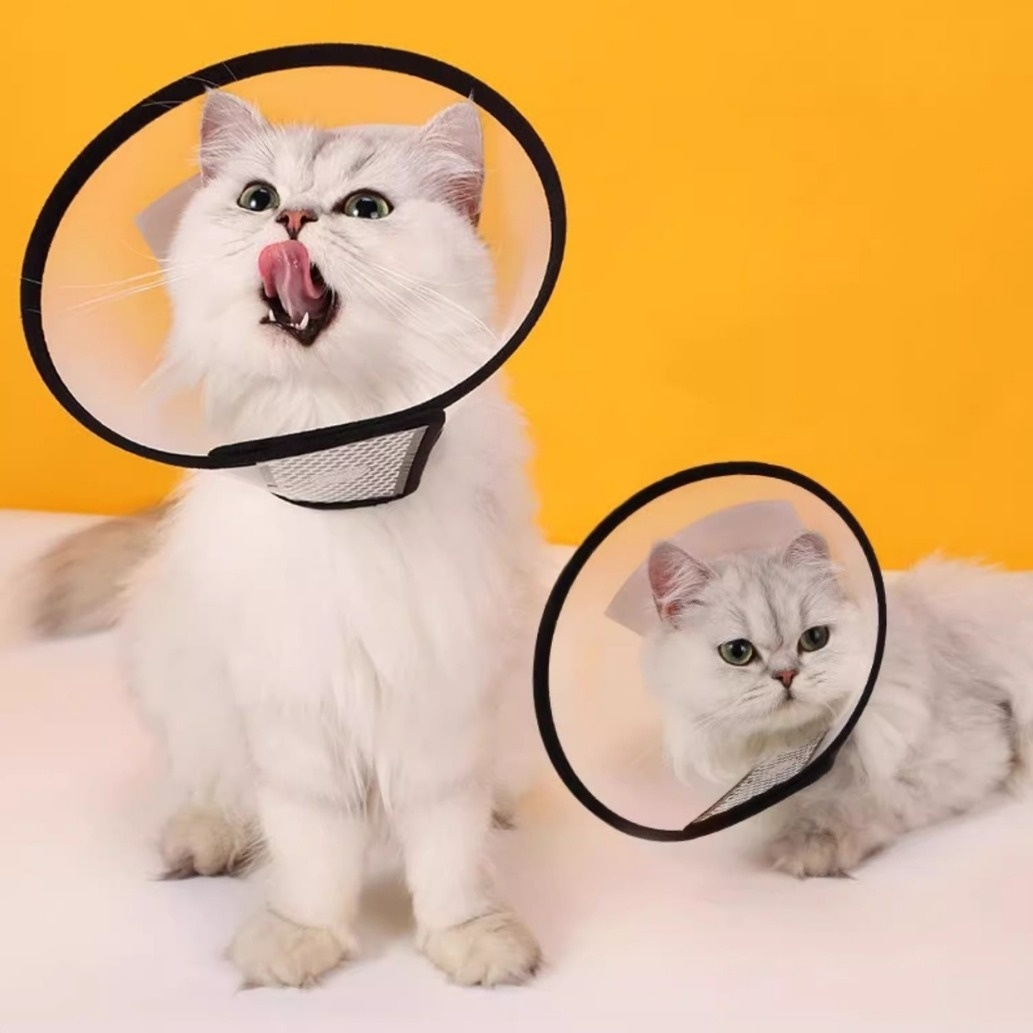 犬用快適エリザベスカラー