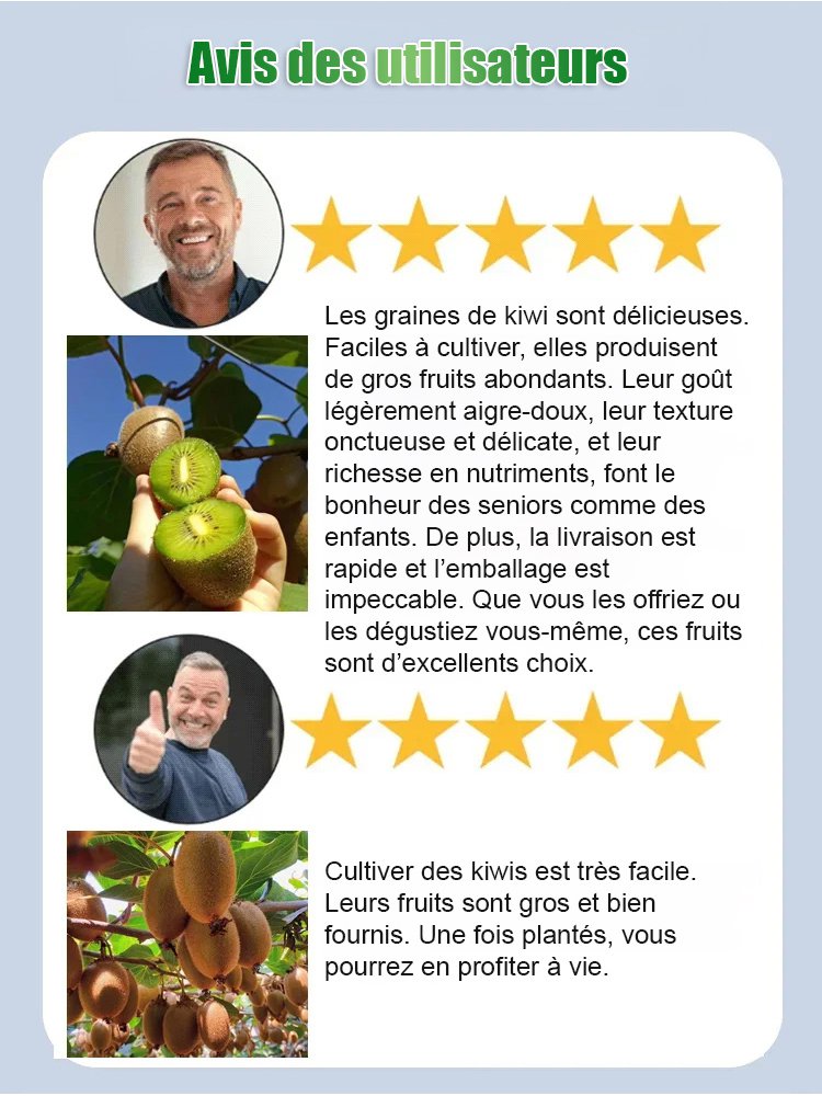 【Augmenter la puissance masculine】Plantules de kiwi biologique de Nouvelle-Zélande