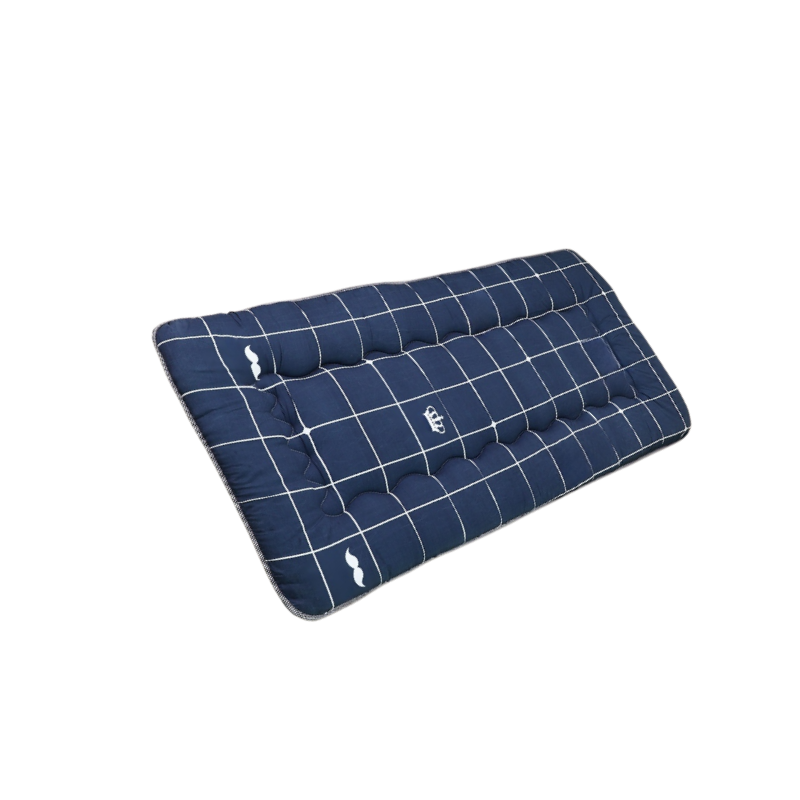 Colchón suave para dormitorio estudiantil