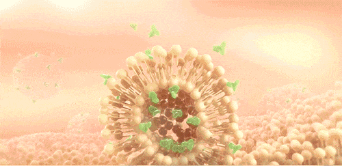 12e9be1c70a224337ad72100b7ce2101.gif