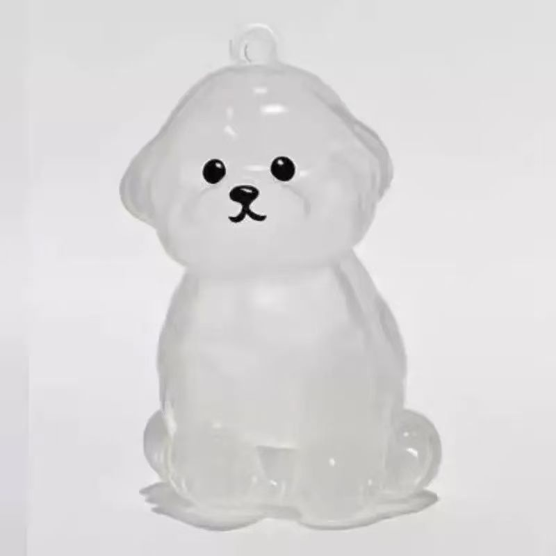 Porte-clés avec pendentif chien, boîte transparente pour poils d'animaux