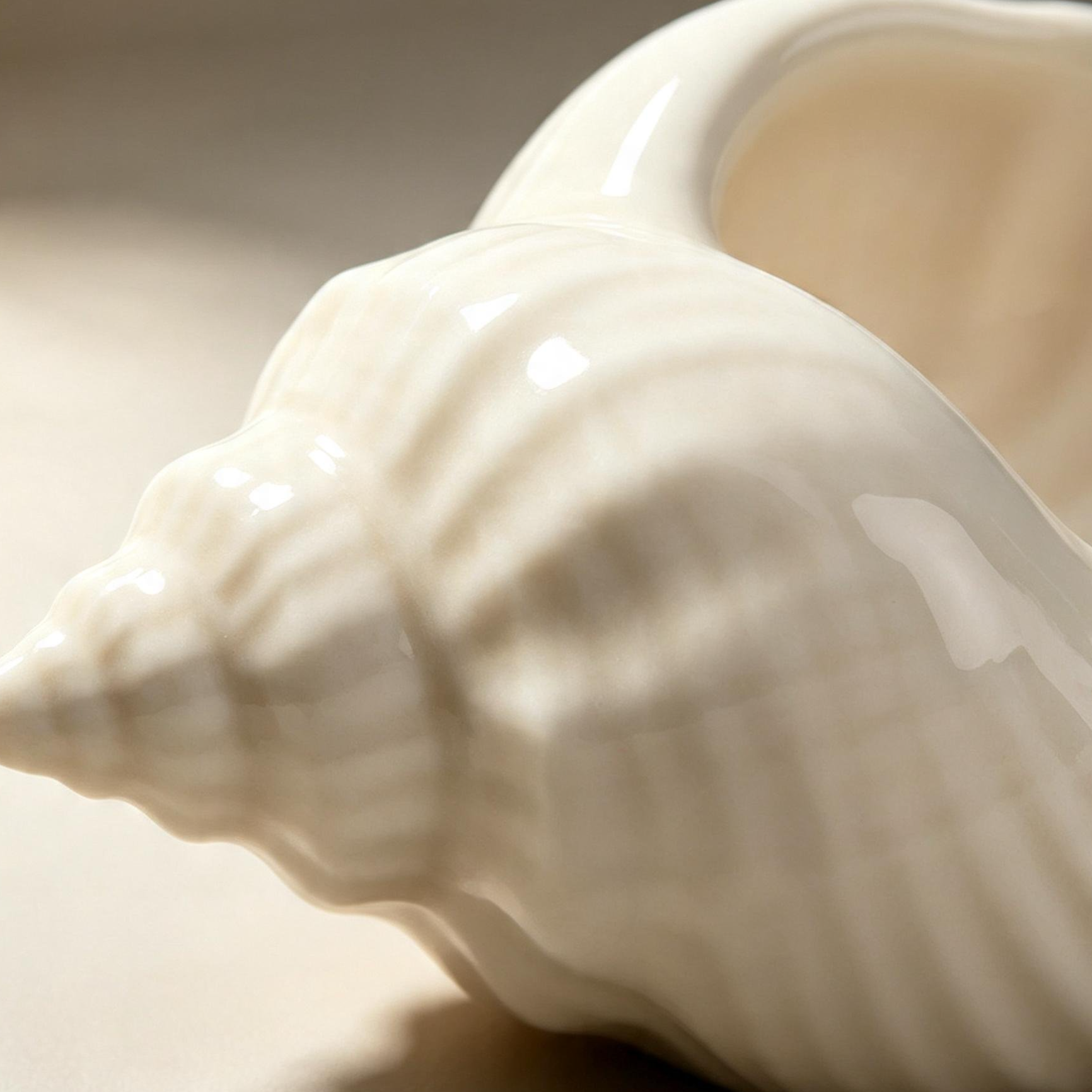 Seashell-shaped organizer holding jewelry and accessories