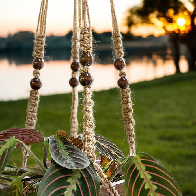 وجبات كورية شمالية أصلية