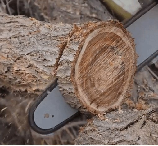 Cordless mini electric saw for woodworking