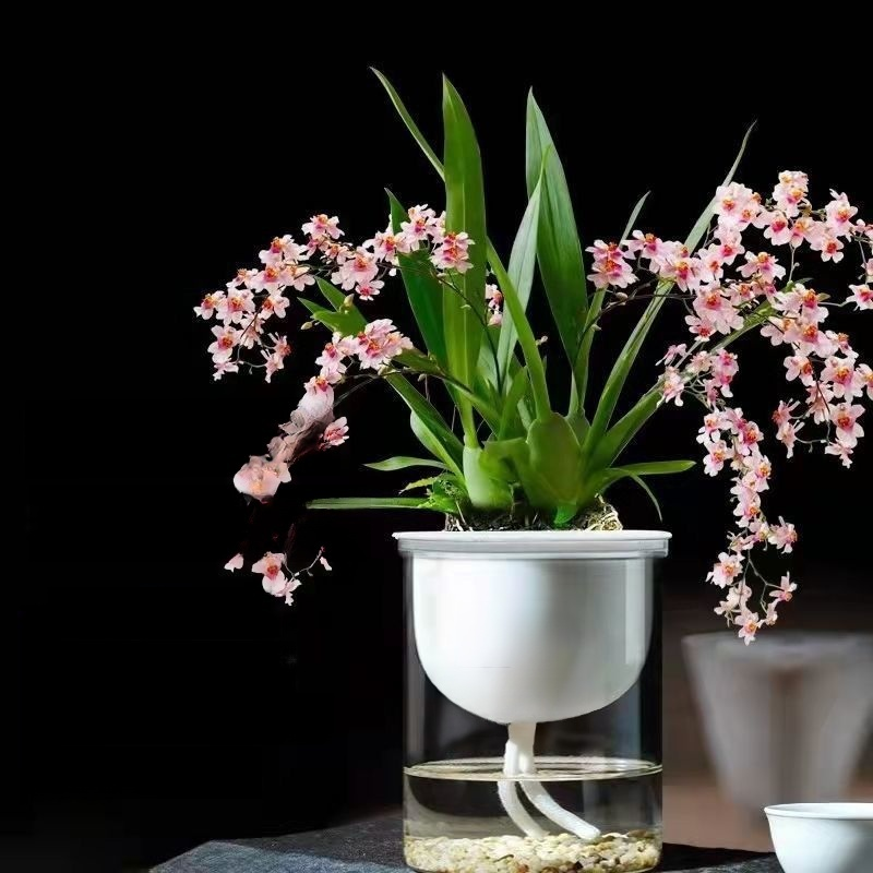 Green plants and fragrant potted flowers