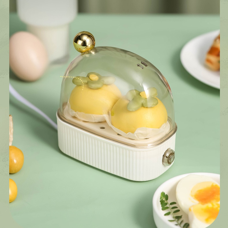 家用多功能迷你蒸蛋器
