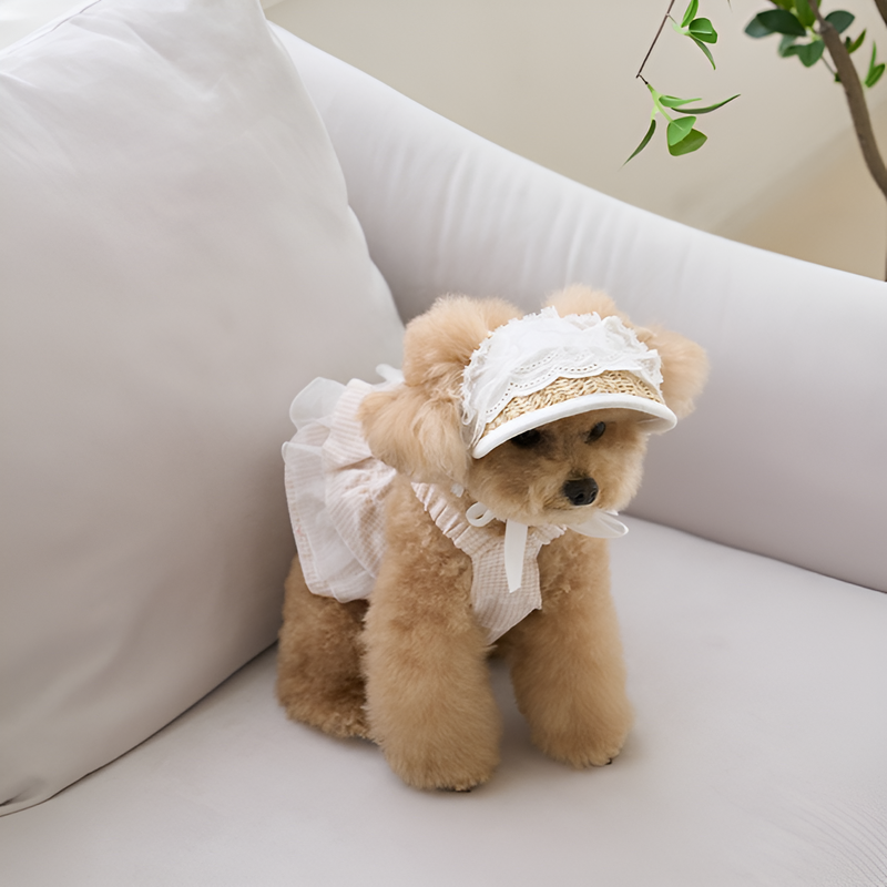 犬や猫に適した麦わら編みの豚鼻帽子