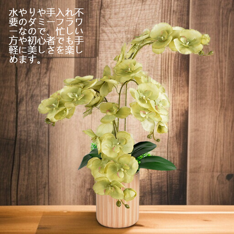 単枝8頭のコチョウランのダミーフラワー