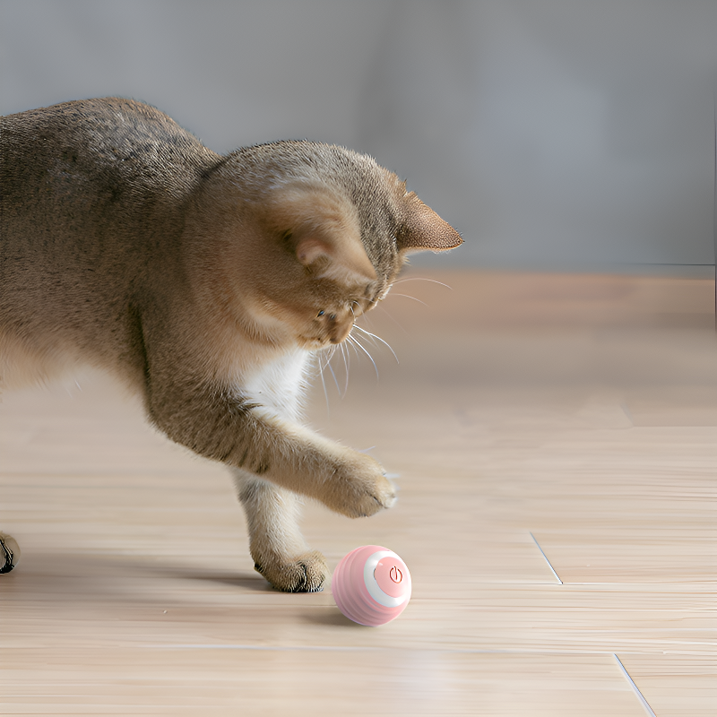 Jouet magnétique intelligent pour chat, balle interactive rechargeable
