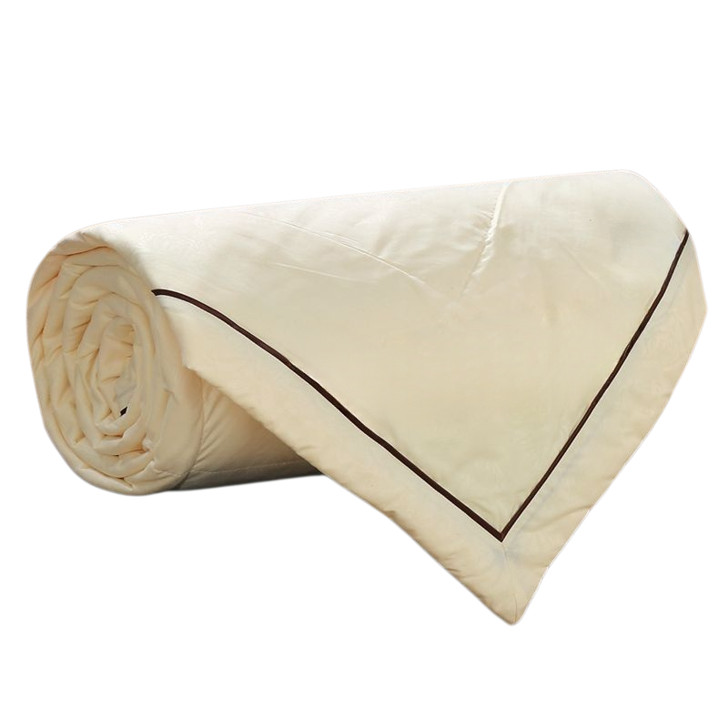 Double Palace Cocoon Mulberry Silk 100% Long Thread Spring and Autumn Quilt