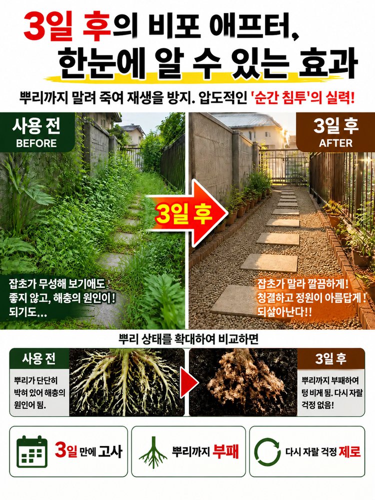 만 묘 황무지 쉽게 해결: 환진톤 원예 관리