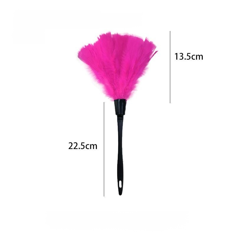 Staubwedel aus Straußenfedern