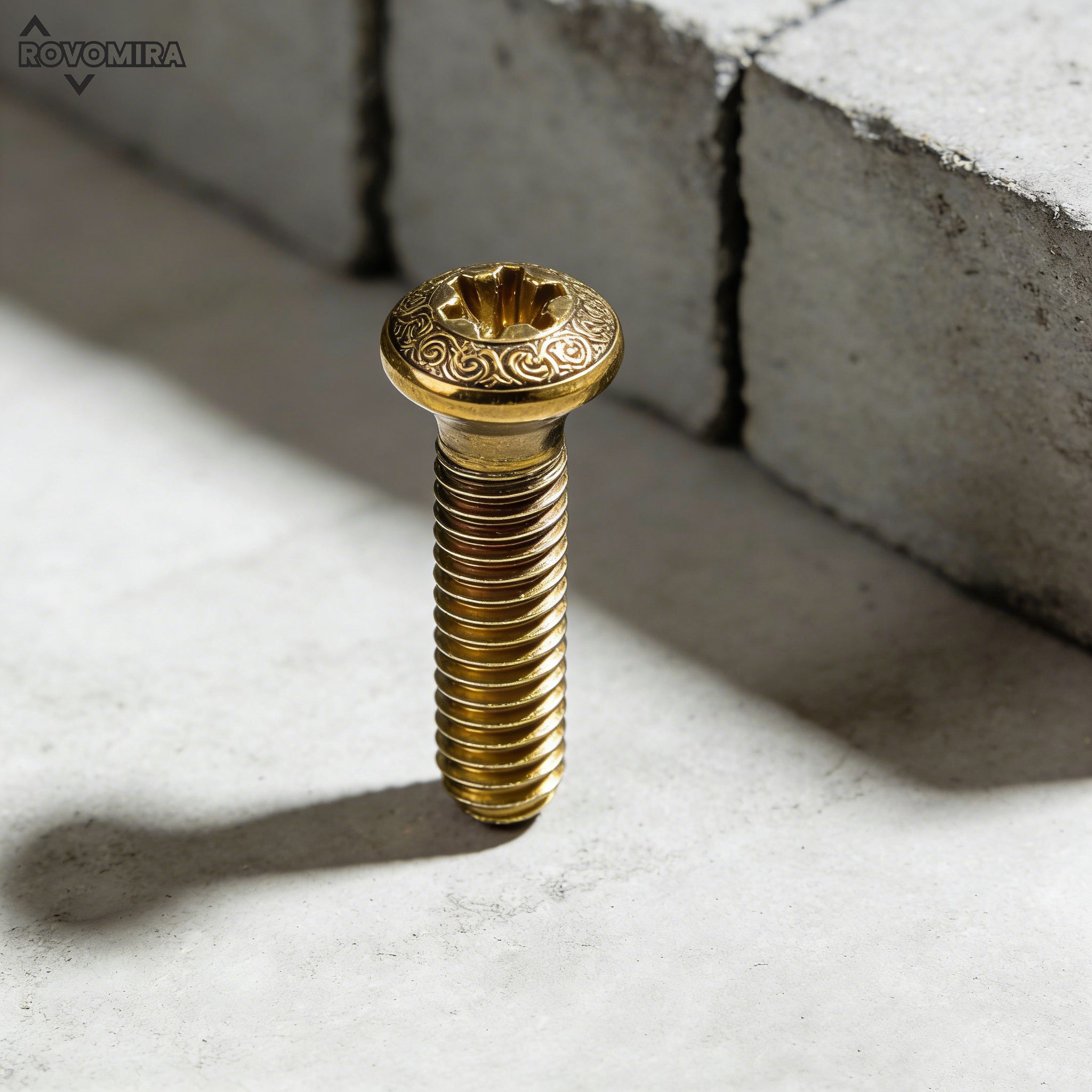 อุปกรณ์เสริมสกรูสำหรับเฟอร์นิเจอร์กล่องหนึ่งใบ