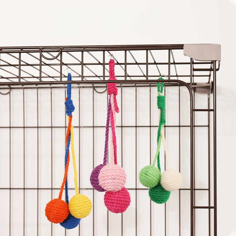 Chat suspendu en sisal