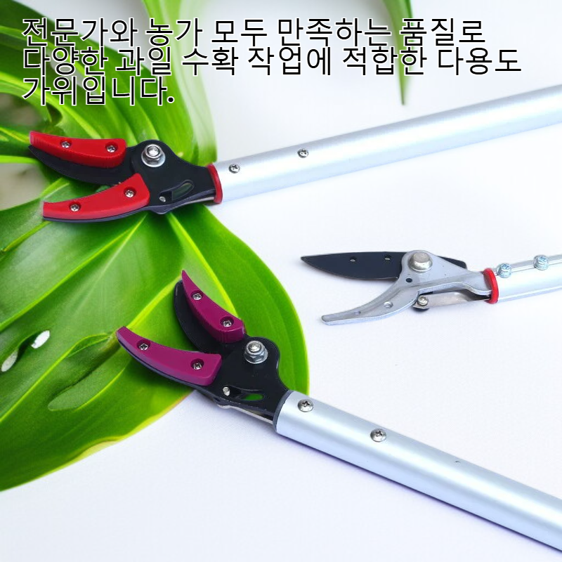 고급 알루미늄 합금 과일 수확 가위 리치 롱안 전용