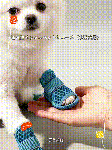 proxy (1).gif