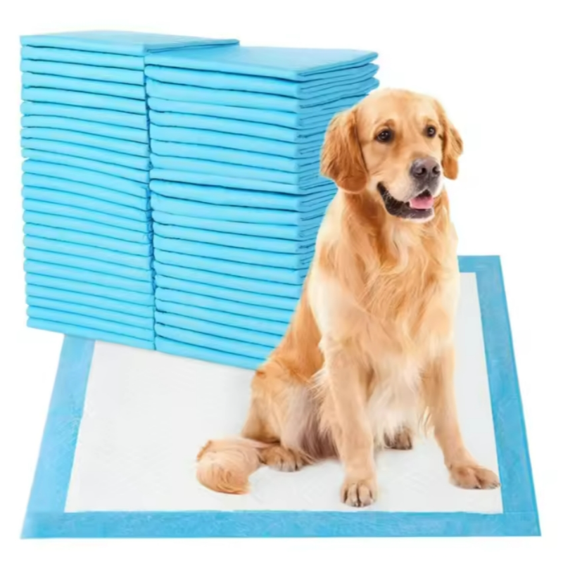 แผ่นรองซับสำหรับสุนัขกันน้ำใช้แล้วทิ้ง