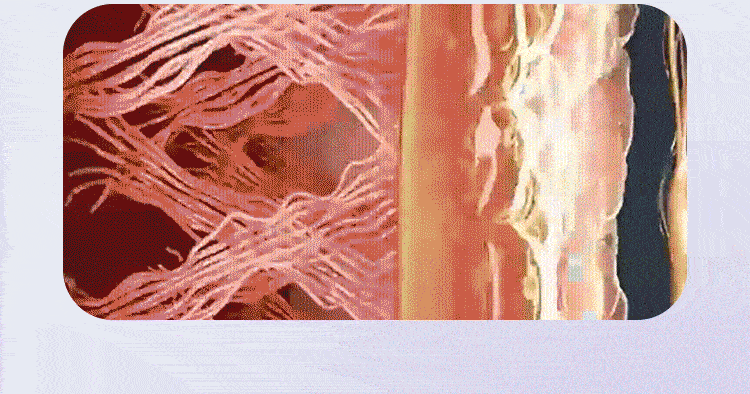 17520263073451.gif