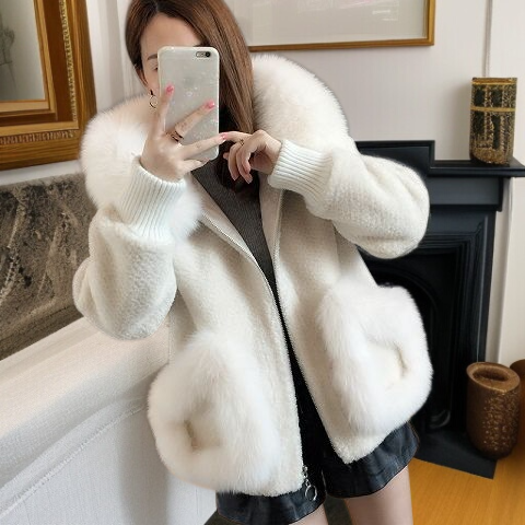 추동 모조 여우털 칼라 양털 트리밍 밍크 코트 여 추동 한국판 후드 숏 울 코트