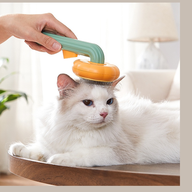 Kamm in Kürbisform für Katzen