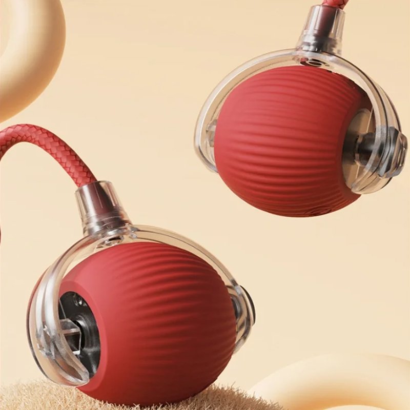 ペット訓練犬の運動種目