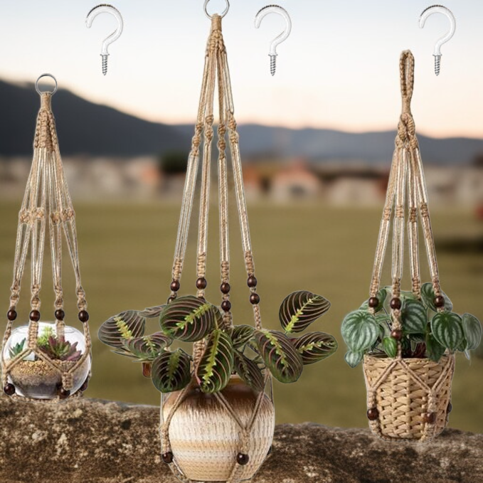 صناعة الأغذية والمشروبات في كوريا الشمالية.