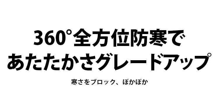 plf_06.jpg