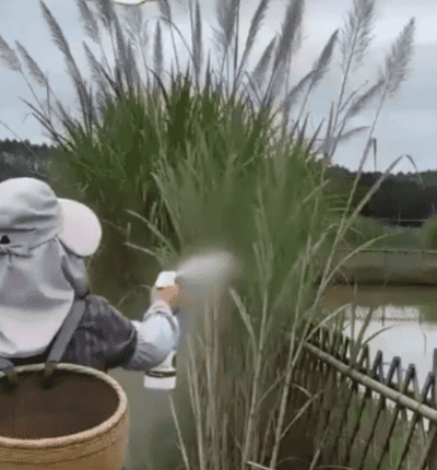 c0f1774e60b213ffbf14119be2090ea0.gif