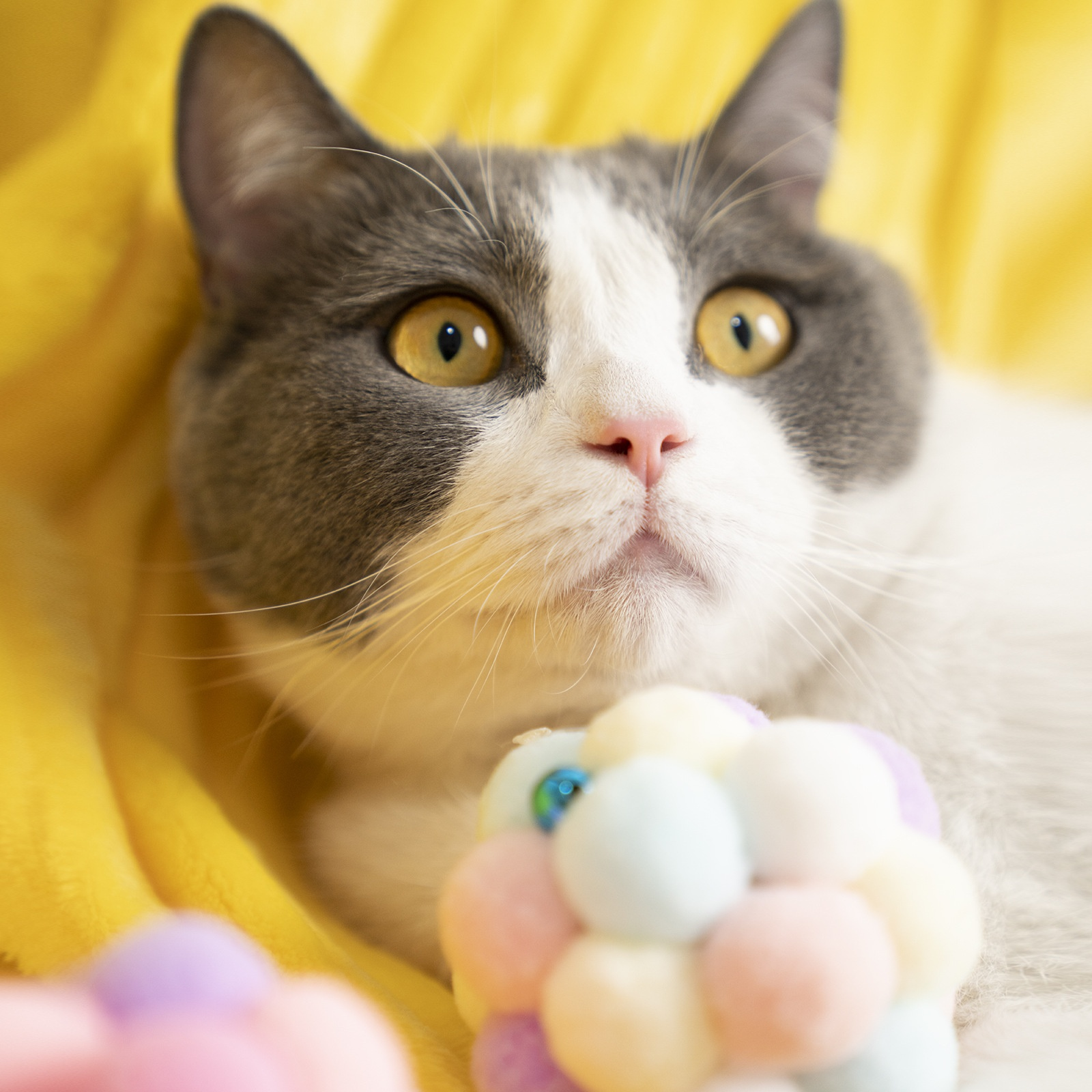 猫が噛むぬいぐるみボールおもちゃ