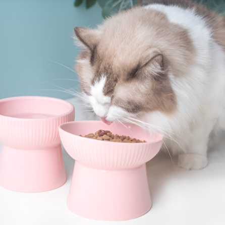 Schrägdesign-Keramiknapf für Haustiere, niedliche Einzel-Futterschale mit Nackenschutz