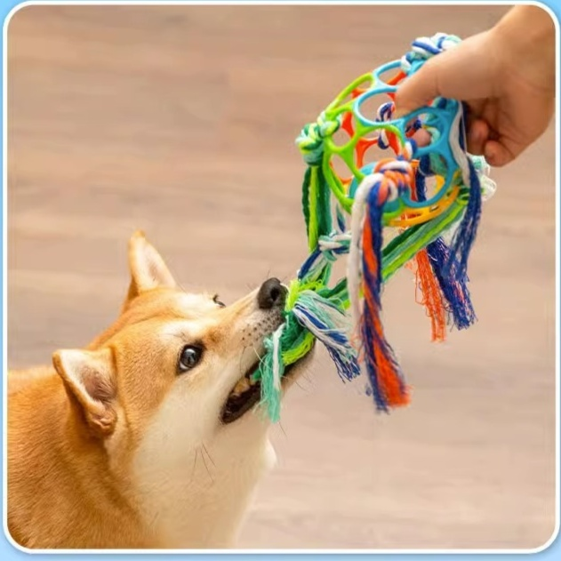 Robustes Glockenspielzeug für Kinder