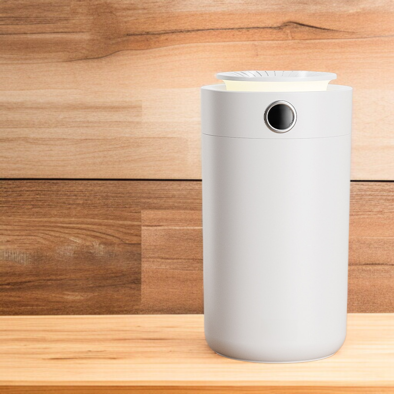 Usb 듀얼 스프레이 가습기 가정용 사무실 가습 스프레이 무음 대용량 가습기 침실 수분 신기