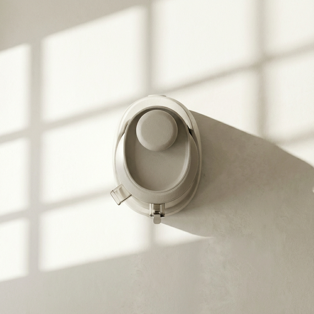 เครื่องคั้นน้ำผลไม้แบบพกพา