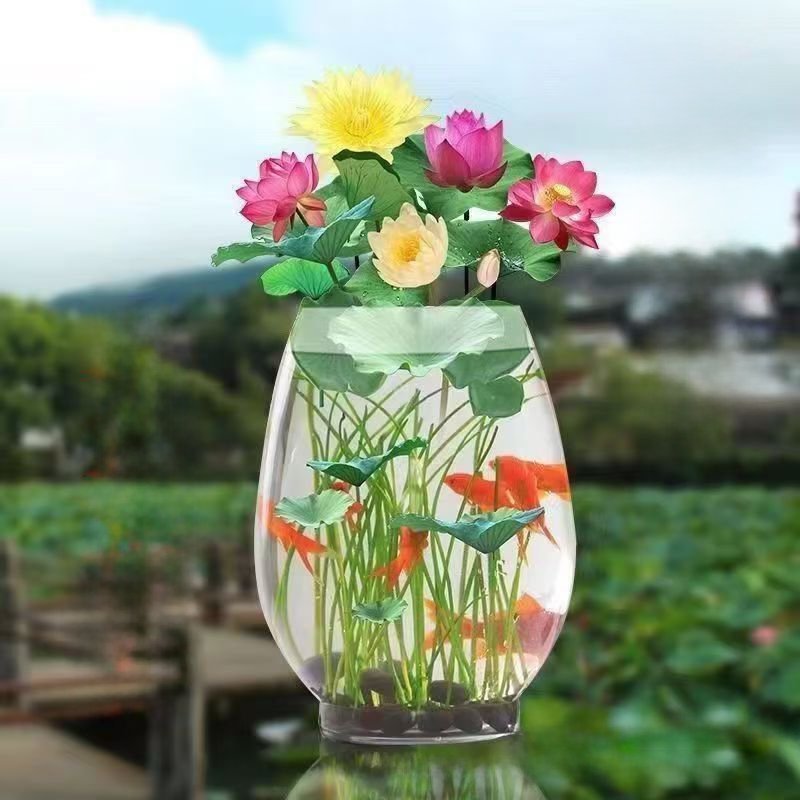 Hydroponic flowers, water fed seasonal lotus flowers