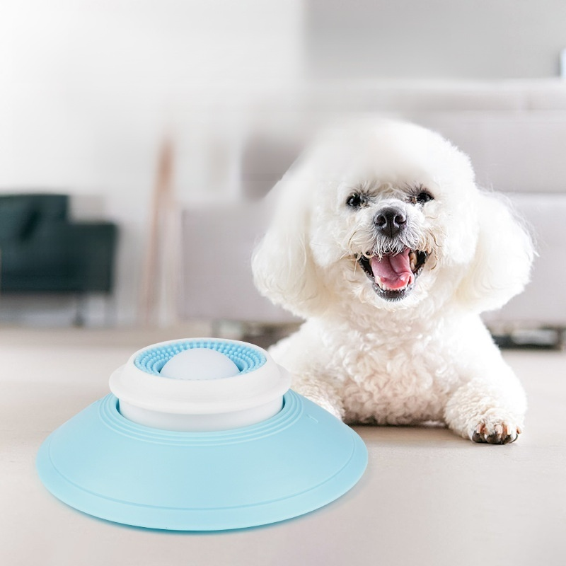 Le chien lèche lentement son assiette