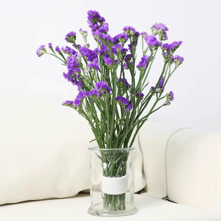 Soporte de tallo espiral para arreglos florales