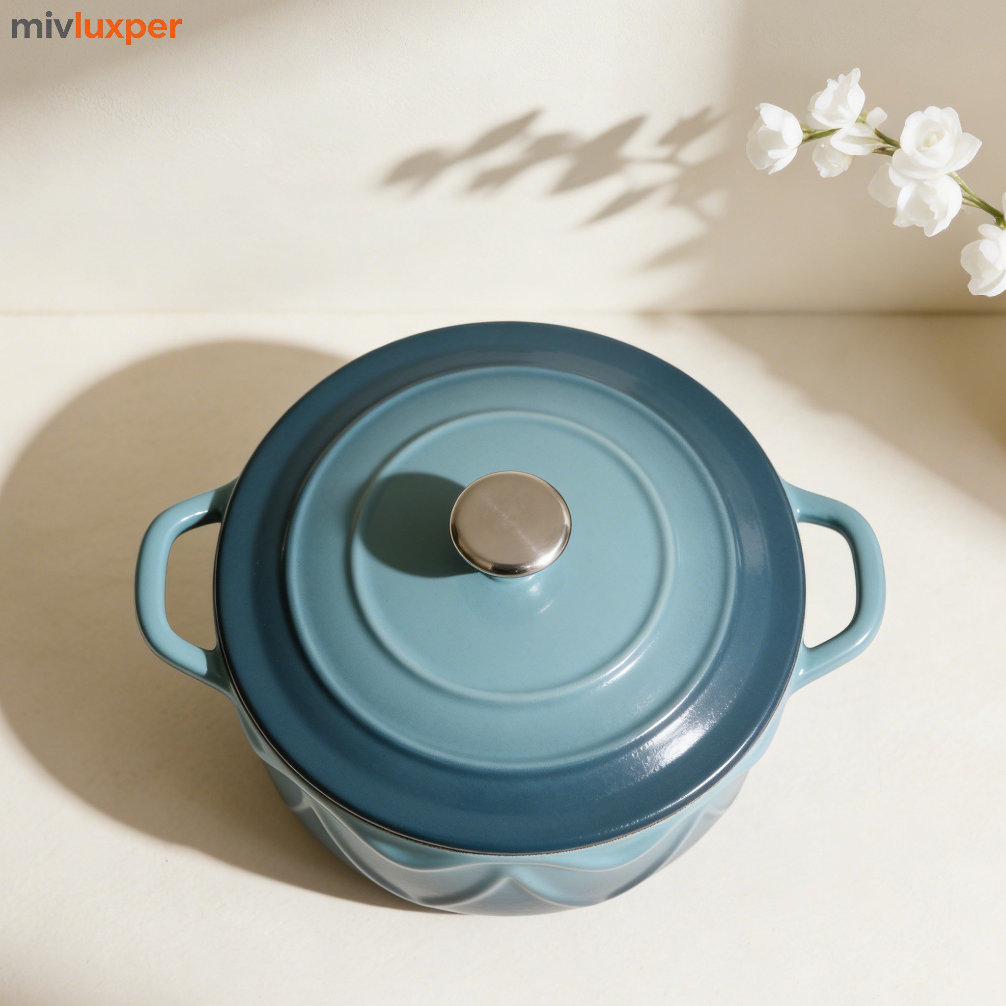 Olla de hierro fundido esmaltado