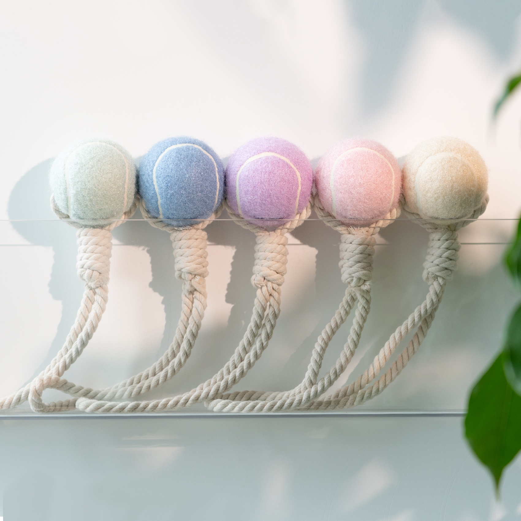 犬用引っ張りおもちゃ