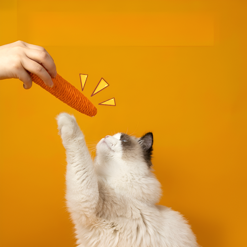 Bâtonnet jouet carotte sonore pour chat