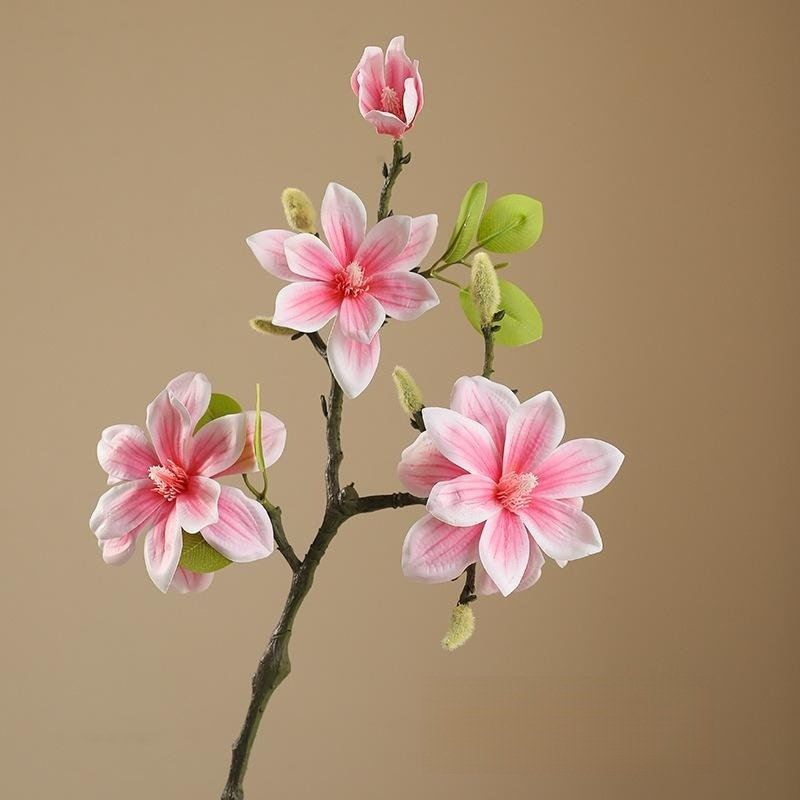 Magnolia artificiel