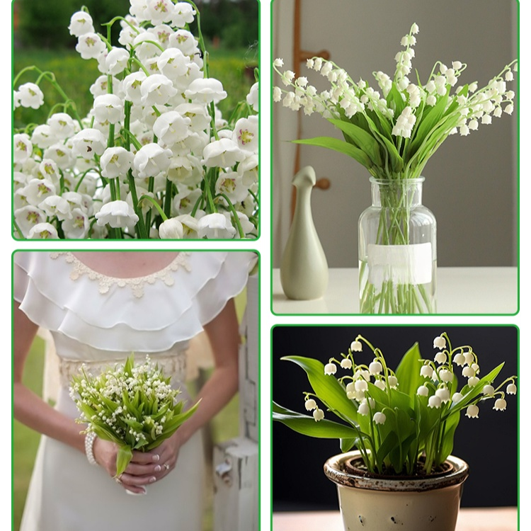 Perfume Suzuki bola de semillas