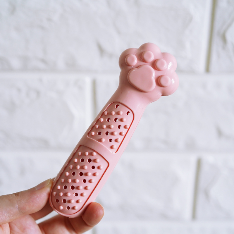 Jouet nettoyant pour dents avec herbe à chat