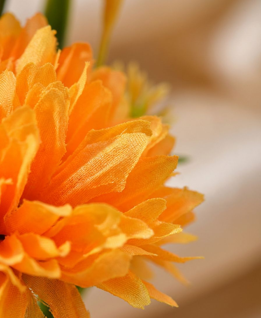 ギフト向けのドライフラワーガラスドーム