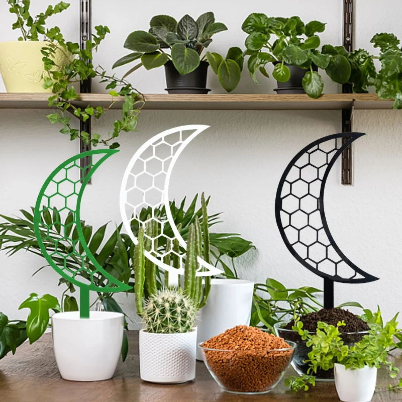 月の登攀用トレリス