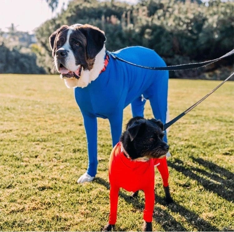 冬用防寒オールインワンペットウェア