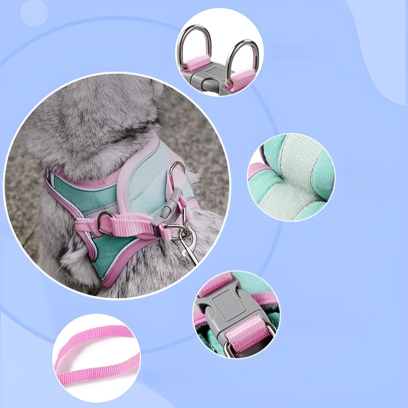 Laisse pour petits et moyens chiens