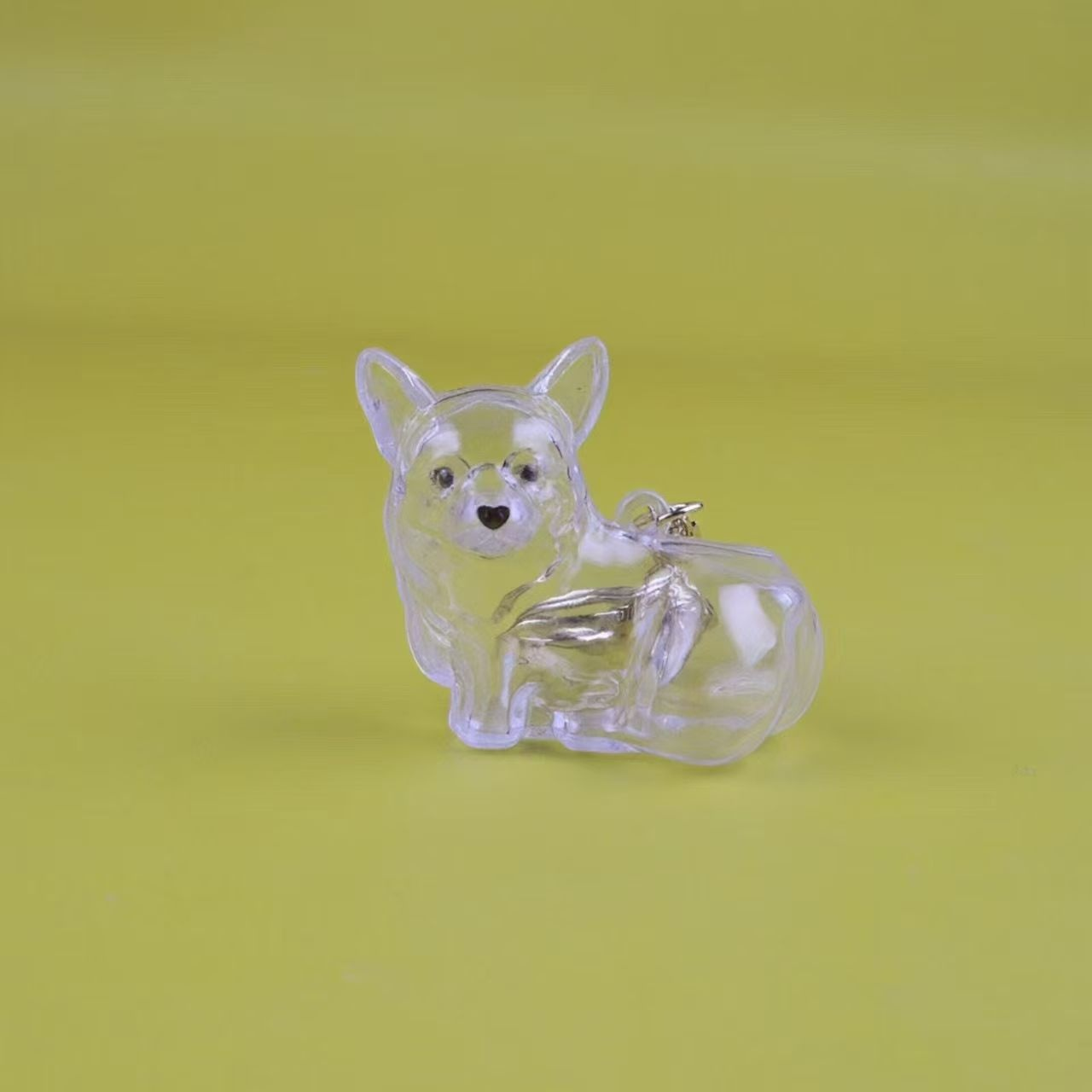 Porte-clés avec pendentif chien, boîte transparente pour poils d'animaux