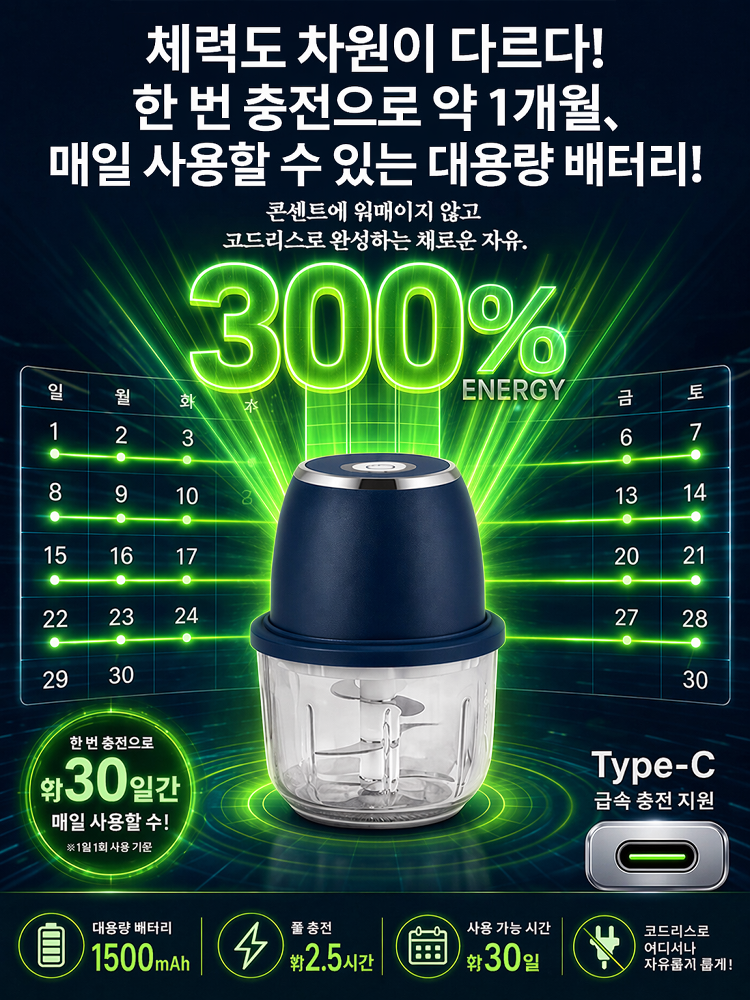 무선 휴대용 음식 조리기