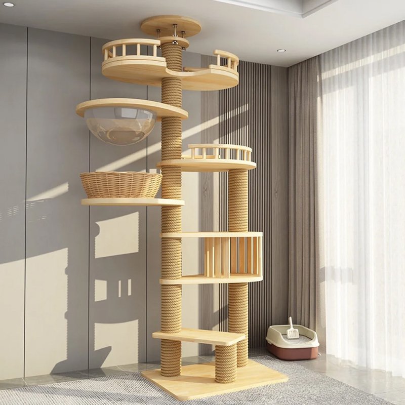 สัตว์เลี้ยง Scratch แมวปีนต้นไม้