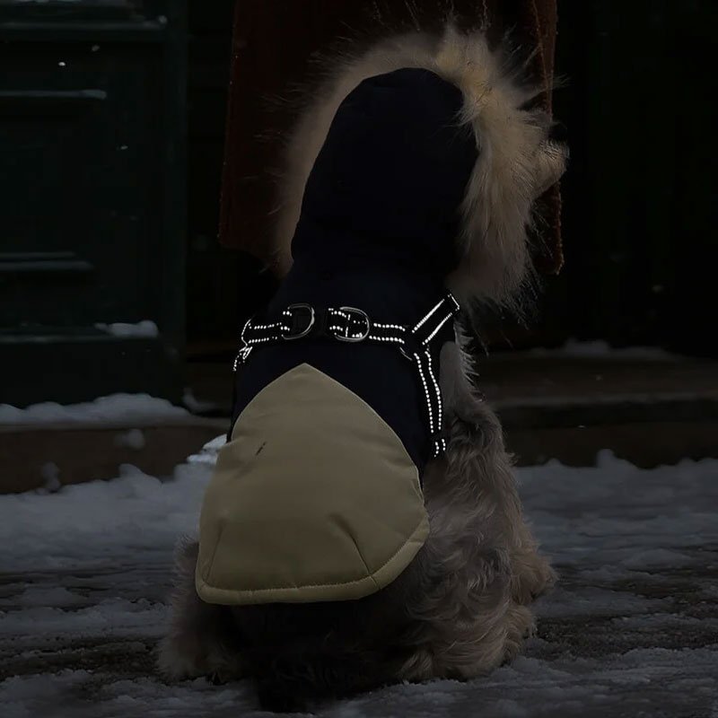 ลูกสุนัขขนแกะเสื้อกันหนาว